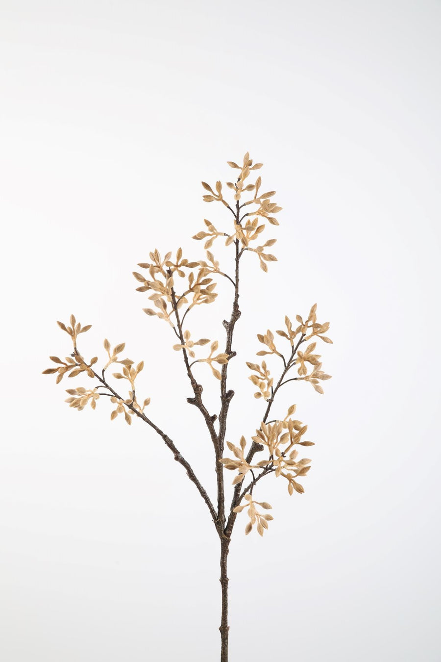 Wutong Fruit Spray 89cm