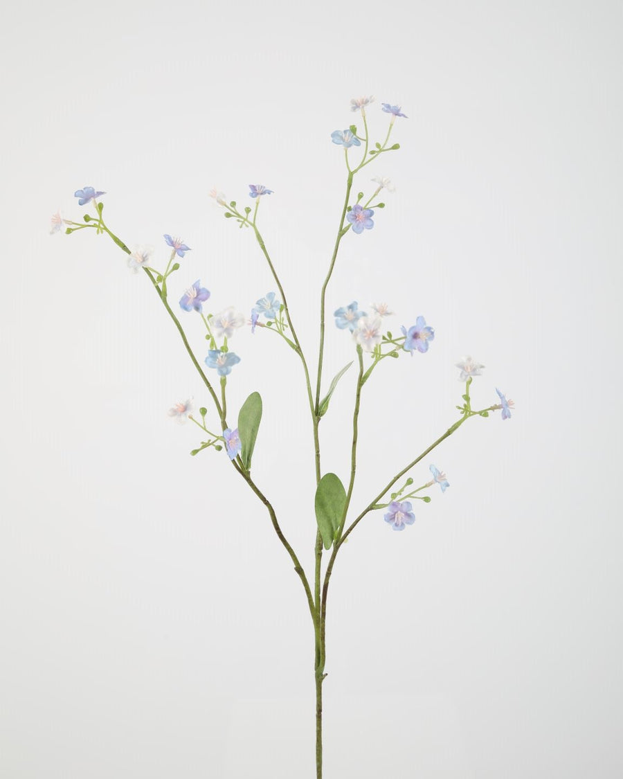Forget Me Not 73cm