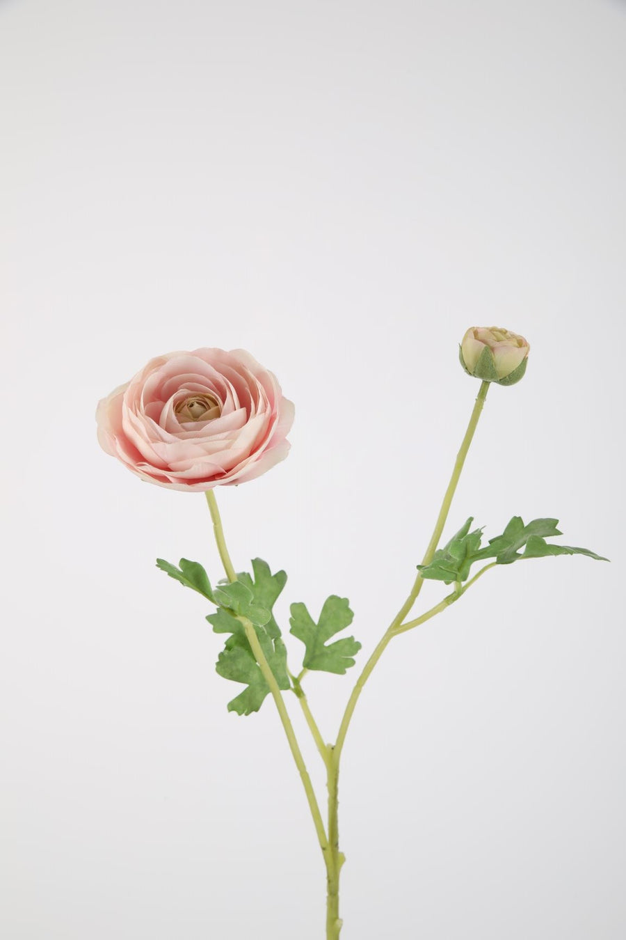 Ranunculus Stem 38cm pink