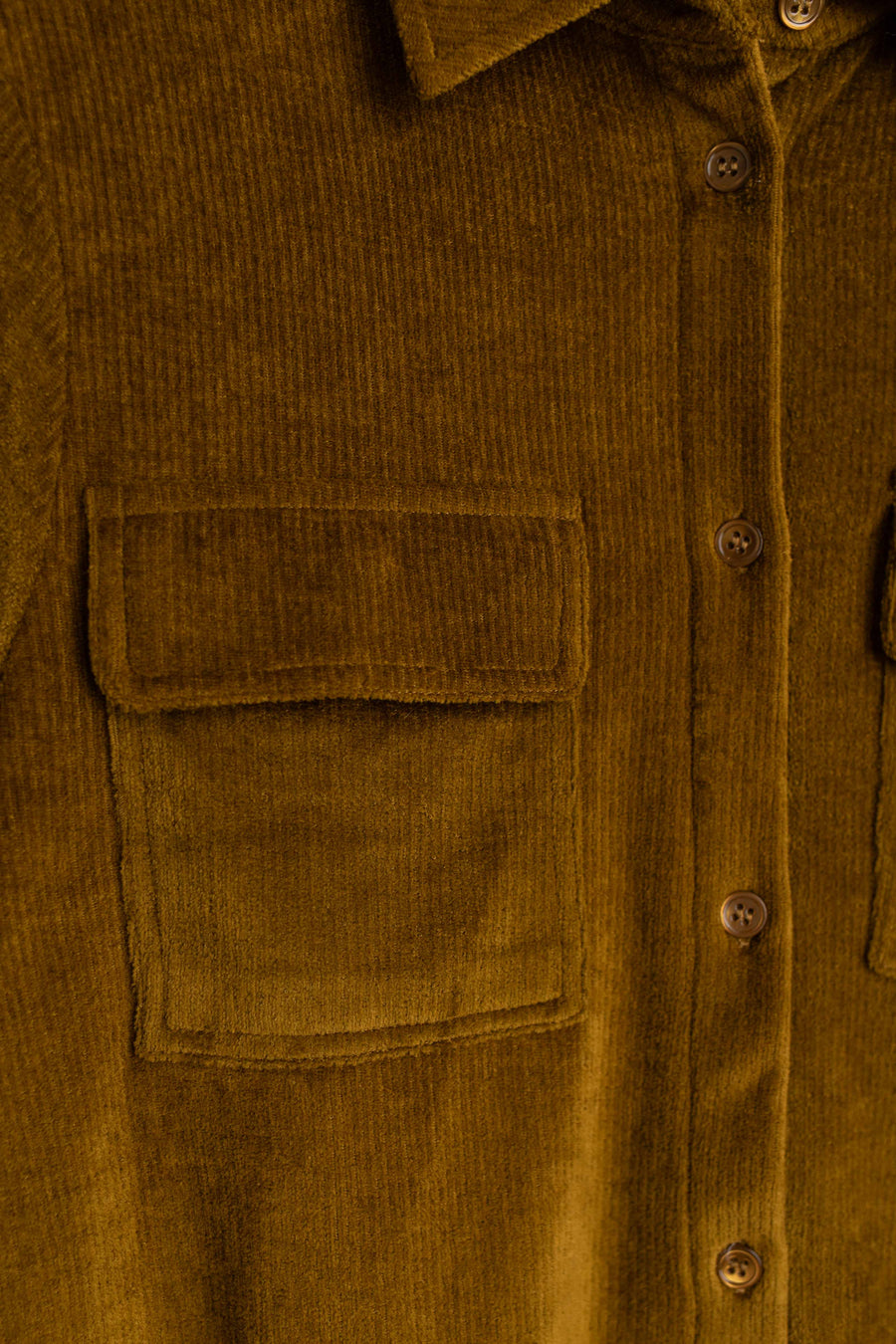 Majestic Filatures du Lion Overshirt amber