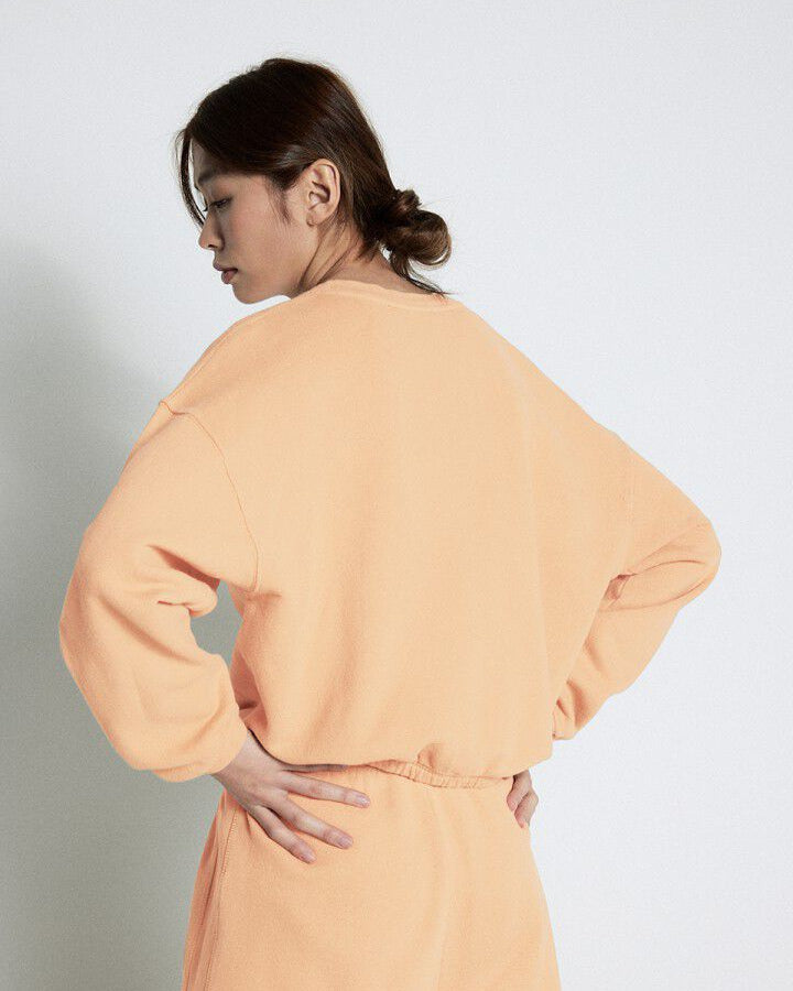American Vintage Sweatshirt Izubird noisettine